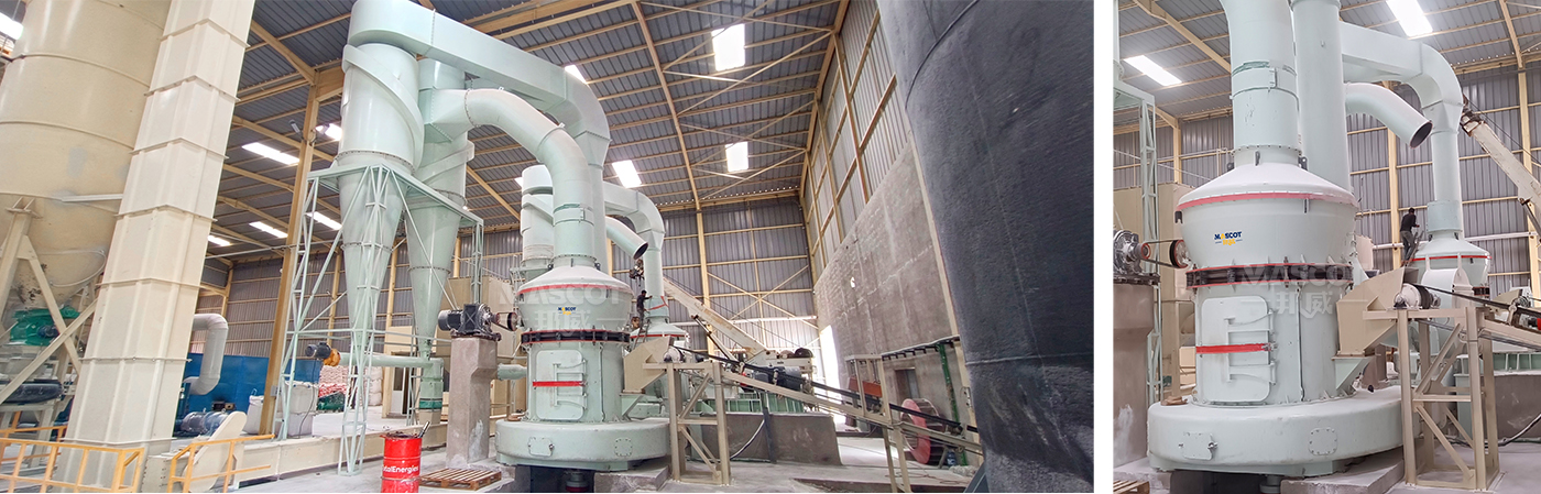 fly ash grinding machine
